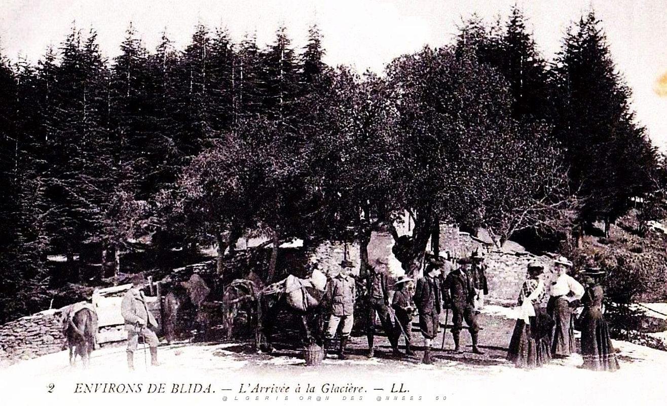 1956- Blida - Arrivee a la Glaciere - 1917.jpg